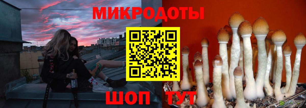 Псилоцибиновые грибы Psilocybine cubensis Похвистнево